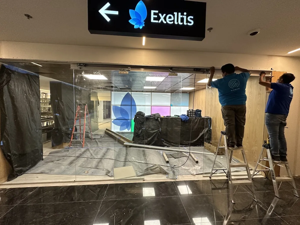 Proyecto Proyecto Exeltis Torre Anseli Puerta Automatica - Smart Film (PDLC) - Foto 11